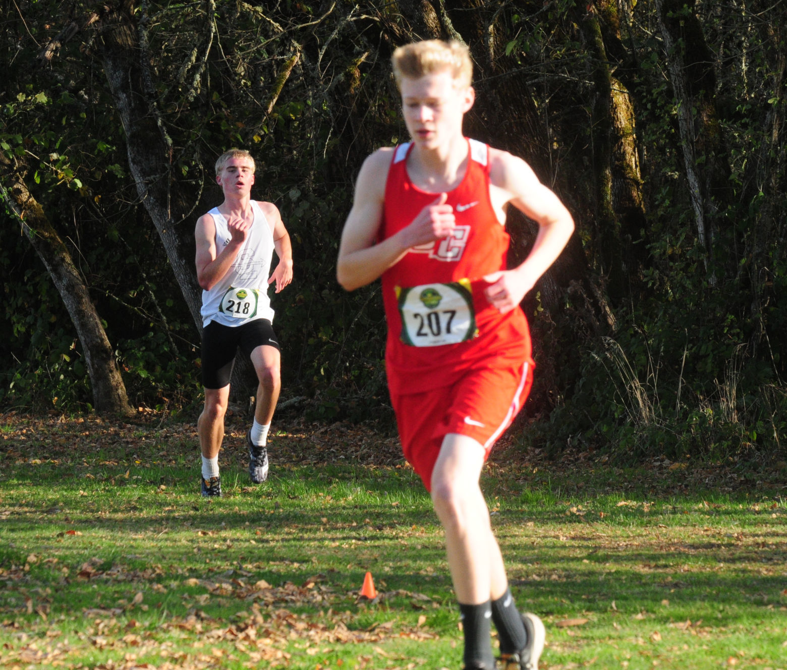 3A/2A/1A District cross-country